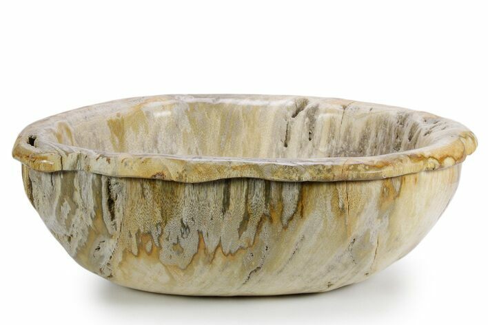 Petrified Wood (Tropical Hardwood) Bowl - Indonesia #357355
